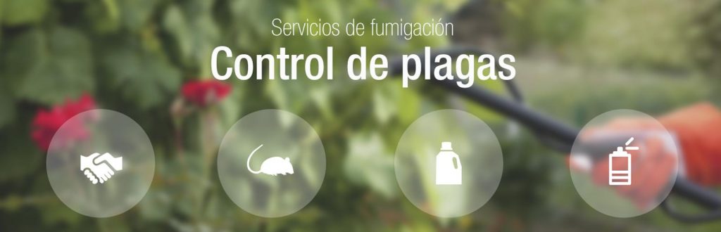 control de plagas en celaya